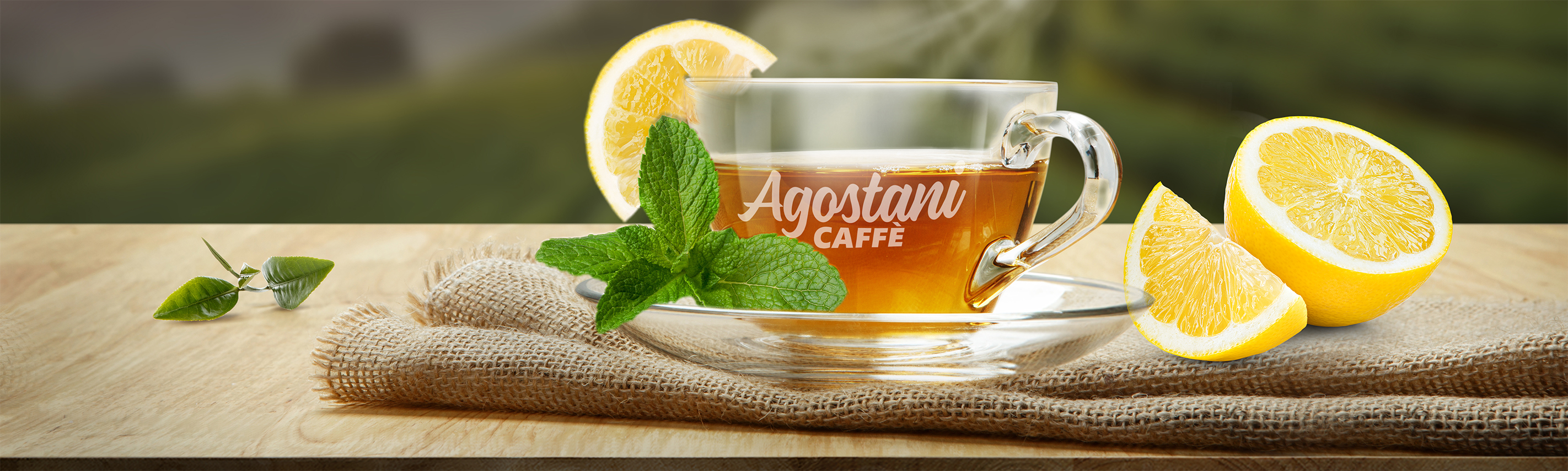 Schoten und Kapseln Die