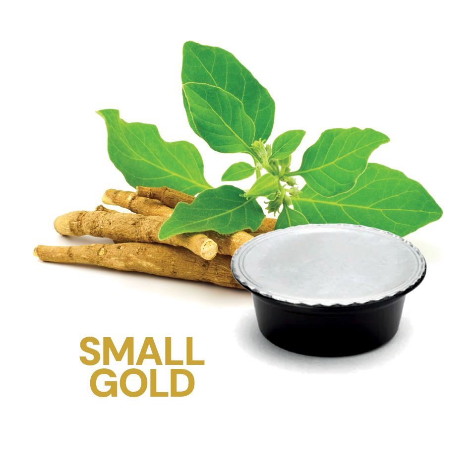 Bild von 16 Ginseng Agostani SMALL GOLD Kapseln kompatibel mit Lavazza a Modo Mio